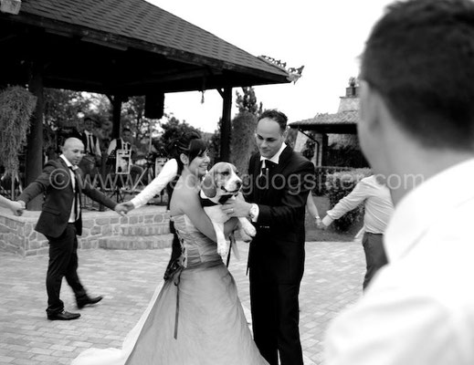 SPOSI BALLANO CON IL CANE VILLA MATRIMONI TENUTA ALFEI ROMA