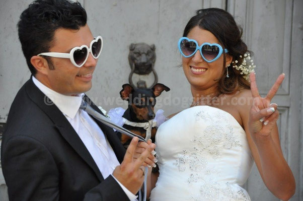 MATRIMONIO WEDDING DOG SITTER FANO PESARO URBINO