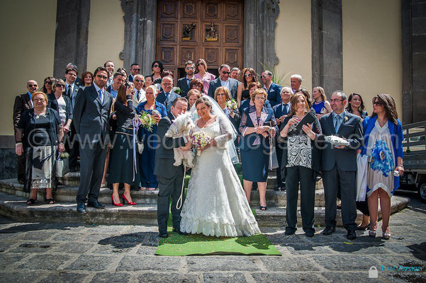 WEDDING DOG SITTER NAPOLI SORRENTO VILLA CLERMONT
