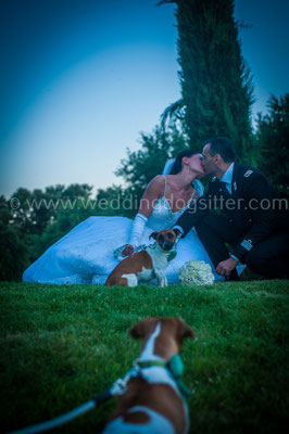 FOTO MATRIMONIO VITERBO CON CANE