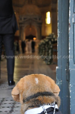MATRIMONIO WEDDING DOG SITTER ROMA