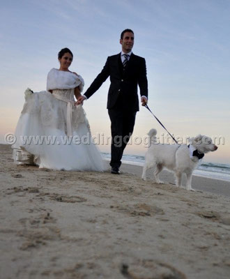 MATRIMONIO WEDDING DOG SITTER PESCARA