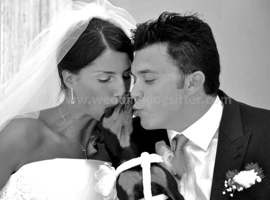 MATRIMONIO WEDDING DOG SITTER FANO PESARO URBINO