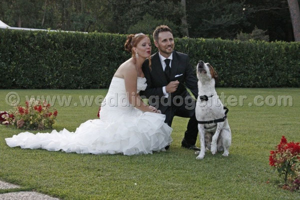 MATRIMONIO WEDDING DOG SITTER ROMA