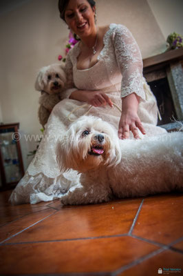 SPOSA CON MALTESE CANE AL WEDDING NAPOLI DOG SITTER VILLA CLERMONT