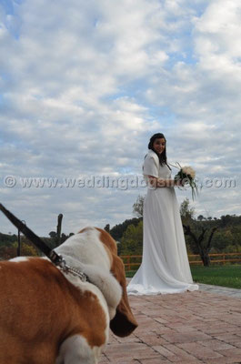 MATRIMONIO WEDDING DOG SITTER MONTEROTONDO