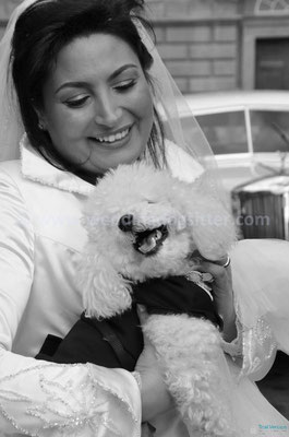 MATRIMONIO WEDDING DOG SITTER NAPOLI
