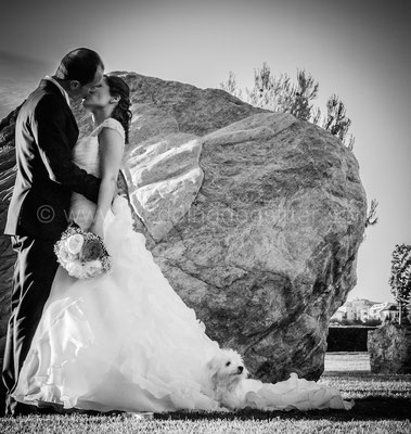 FARE LE FOTO MATRIMONIO CON IL CANE