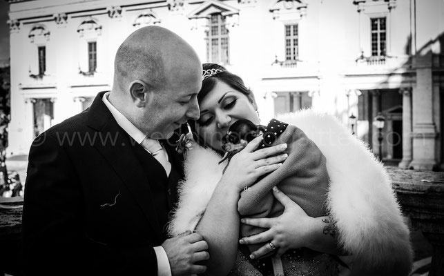 WEDDING DOG SITTER SERVICE MILANO