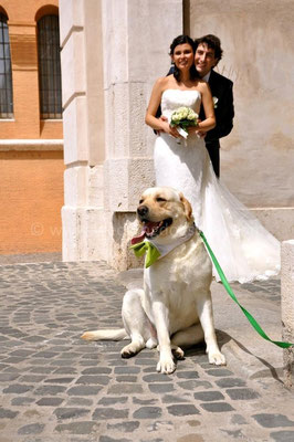 MATRIMONIO WEDDING DOG SITTER ROMA - CIVITAVECCHIA VILLA CERI