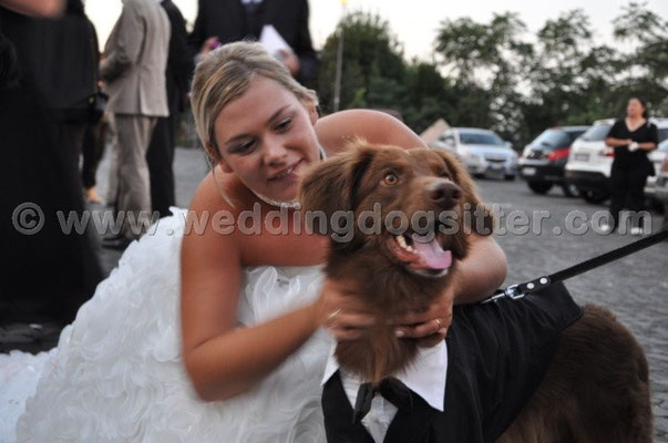 MATRIMONIO WEDDING DOG SITTER ROMA