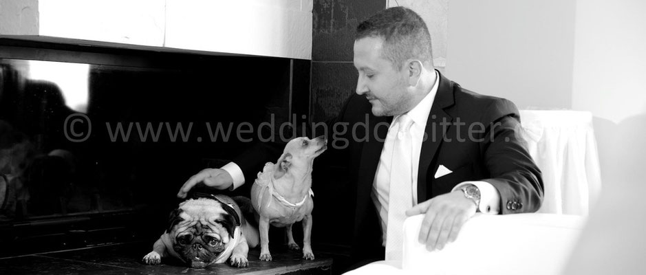 MATRIMONIO WEDDING DOG SITTER PESCARA CASTELLO DI SEPTE