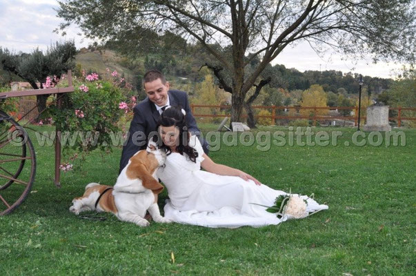 MATRIMONIO WEDDING DOG SITTER MONTEROTONDO