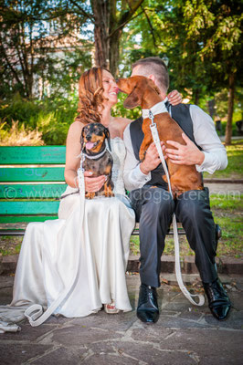 IL CANE AL MATRIMONIO WEDDING DOGSITTER MODENA