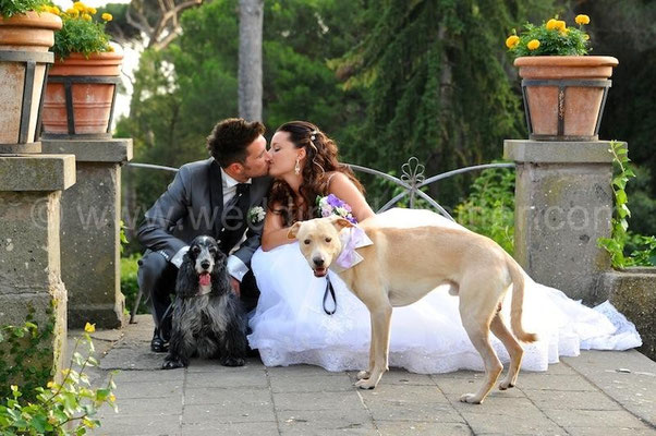 MATRIMONIO CON CANI WEDDING DOG SITTER ROMA Villa Fiorita