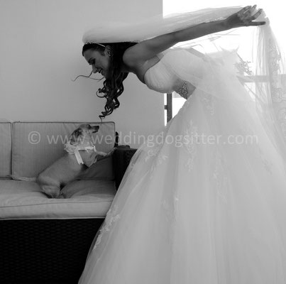 MATRIMONIO WEDDING DOG SITTER PESCARA CASTELLO DI SEPTE
