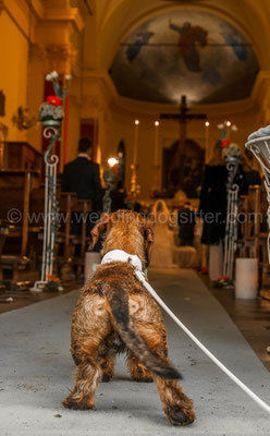 MATRIMONIO DA CANI VERSILIA WEDDING DOG SITTER ANTICA FATTORIA DI PATERNO