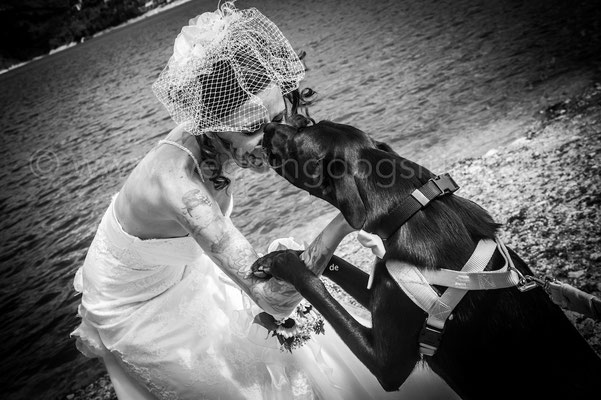 SPOSA CON IL CANE