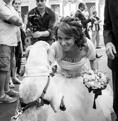 MATRIMONIO WEDDING DOG SITTER VERDE TENUTA DI RIPOLO