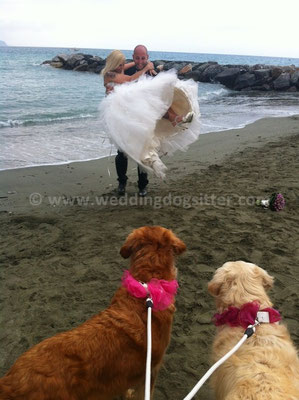 MATRIMONIO WEDDING DOG SITTER LIGURIA MONTEROSSO CINQUE TERRE