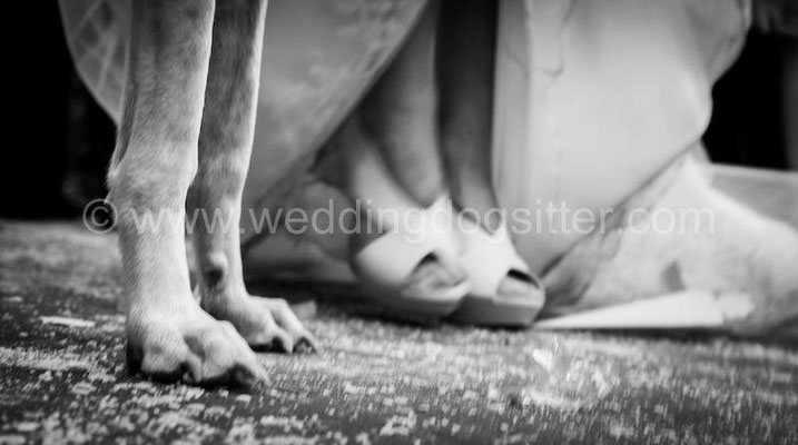 MATRIMONIO WEDDING DOG SITTER ROMA LOCATION TENUTA DI RIPOLO