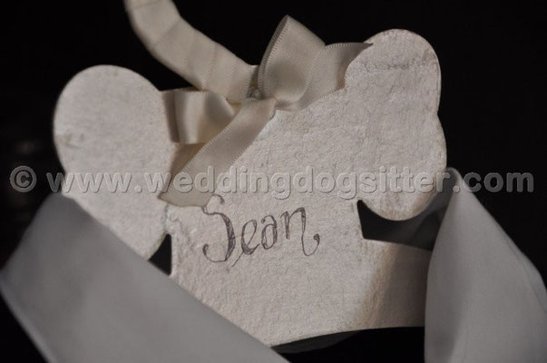 MATRIMONIO WEDDING DOG SITTER ROMA