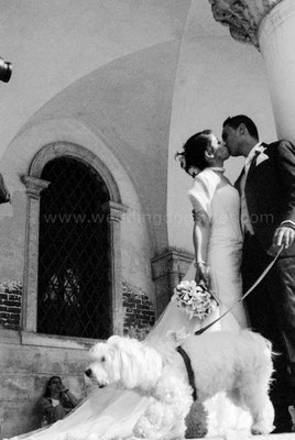 WEDDING DOGSITTER PER CANE SPOSI VENEZIA
