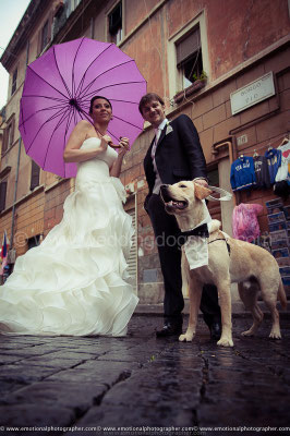 SPOSI CON IL CANE A ROMA WEDDING DOG