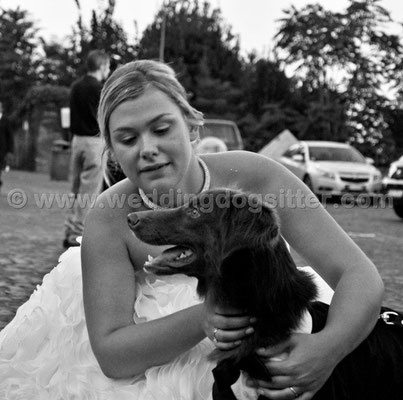 MATRIMONIO WEDDING DOG SITTER ROMA