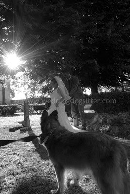 MATRIMONIO WEDDING DOG SITTER TOSCANA FIRENZE - GROSSETO