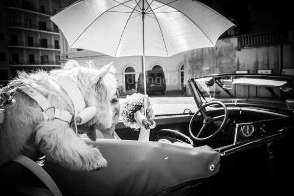 SPOSA CON IL CANE NAPOLI WEDDING DOGS