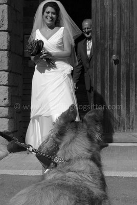 MATRIMONIO WEDDING DOG SITTER TOSCANA FIRENZE - GROSSETO