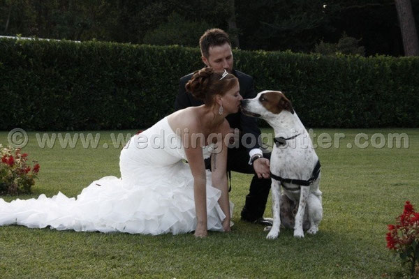 MATRIMONIO WEDDING DOG SITTER ROMA