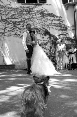 MATRIMONIO WEDDING DOG SITTER FIRENZE