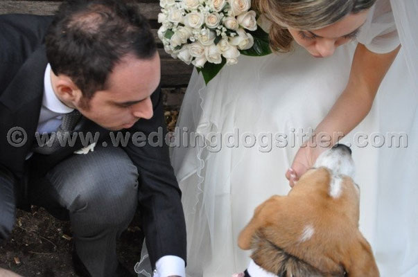 MATRIMONIO WEDDING DOG SITTER ROMA