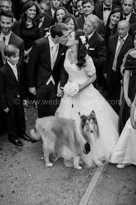 CANE AL MATRIMONIO WEDDING DOGSITTER ROMA CASTELLO ORSINI NEROLA