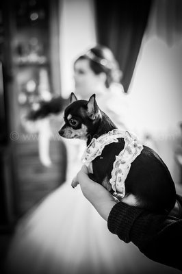 SPOSA CON CHIWAWA