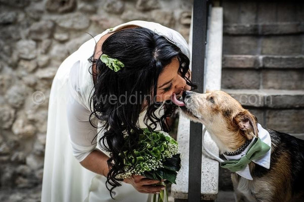 SPOSA CON IL CANE AL MATRIMONIO WEDDING DOG TOR DE SORDI