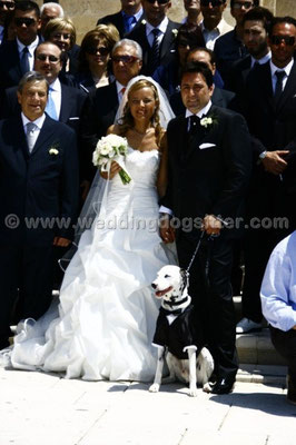 MATRIMONIO WEDDING DOG SITTER PUGLIA