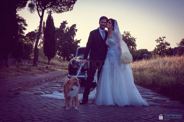 SPOSARSI CON IL CANE A ROMA WEDDING DOG SITTER
