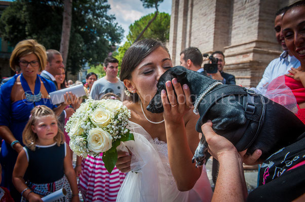 SPOSA CON IL CANE AL MATRIMONIO