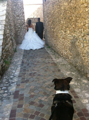 MATRIMONIO WEDDING DOG SITTER ROMA