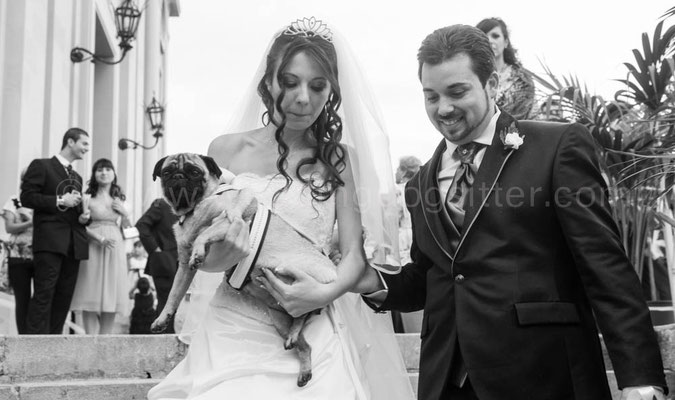 SPOSI CON IL CANE WEDDING DOG SITTER MESSINA