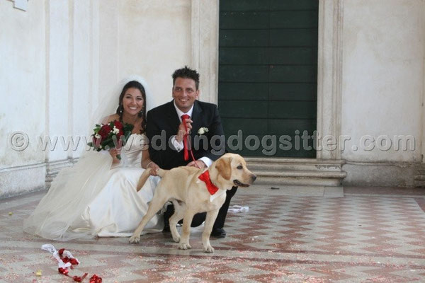 MATRIMONIO WEDDING DOG SITTER ROMA