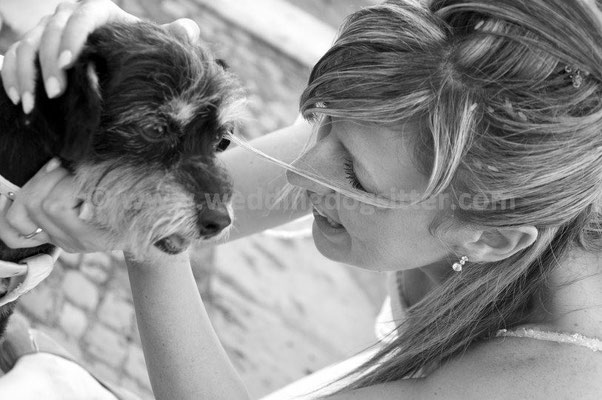 MATRIMONIO WEDDING DOG SITTER ROMA