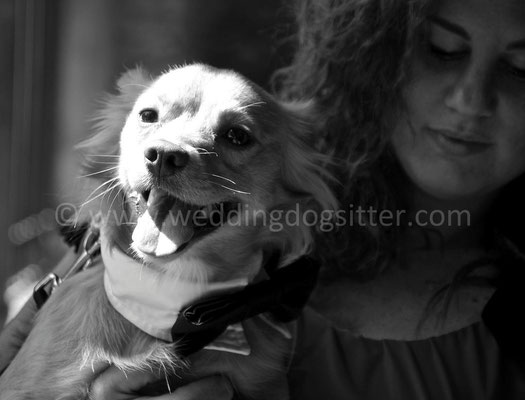MATRIMONIO WEDDING DOG SITTER ROMA RESIDENZA CASTEL VERDE