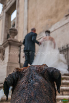 SPOSARSI A SAN LORENZO IN PANISPERNA ROMA CHIESE DI ROMA