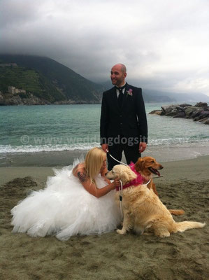 MATRIMONIO WEDDING DOG SITTER LIGURIA MONTEROSSO CINQUE TERRE