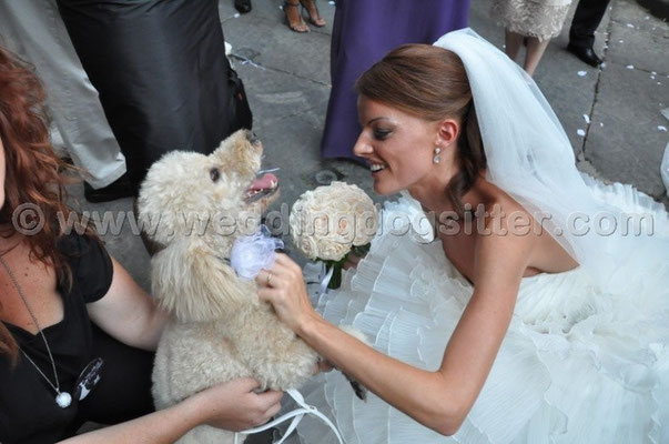 MATRIMONIO WEDDING DOG SITTER VITERBO