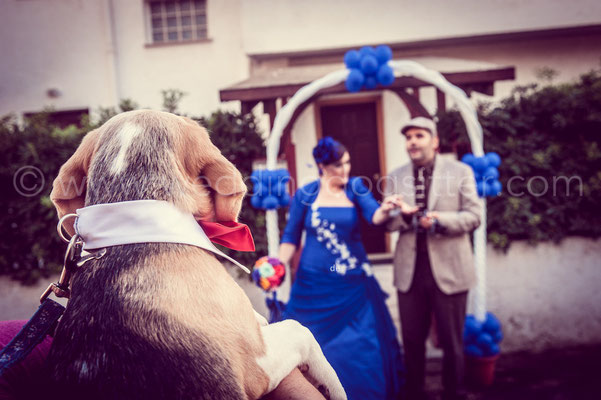 DOG SITTER NOZZE CIVITAVECCHIA